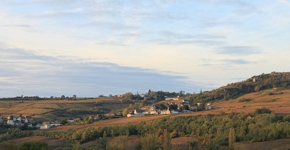 Vignobles de Maranges - Côtes de Beaune