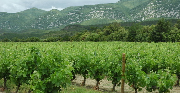 Languedoc - Roussillon