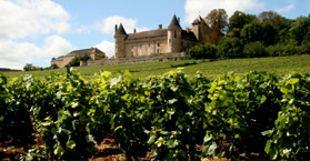 Teaser Balades vigneronnes Teaser Balades vigneronnes