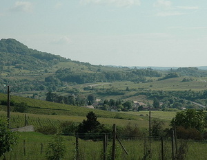 Le Massif du Jura