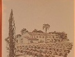 Côtes de Provence - Domaine de Sangliere
