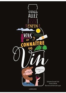 Vous allez enfin vous y connaître en vin - David Cobbold, Sébastien Durand-Viel - 2021