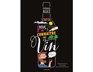 Vous allez enfin vous y connaître en vin - David Cobbold, Sébastien Durand-Viel - 2021