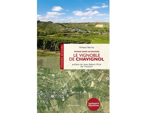 Le vignoble de Chavignol  - Voyage dans un paysage  -  Thibaut Boulay - 2017