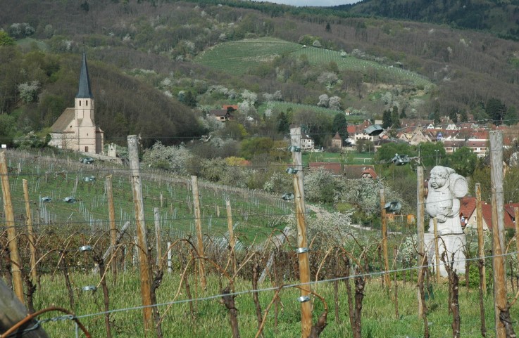 Andlau - Village,vignes, statue de Saint-Vincent patron des vignerons. Photo michel CRIVELLARO