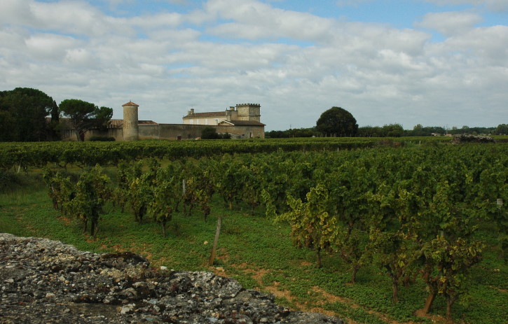 Barsac - Le vignoble est entouré de murets en "pierre de Barsac" - Photo Michel CRIVELLARO