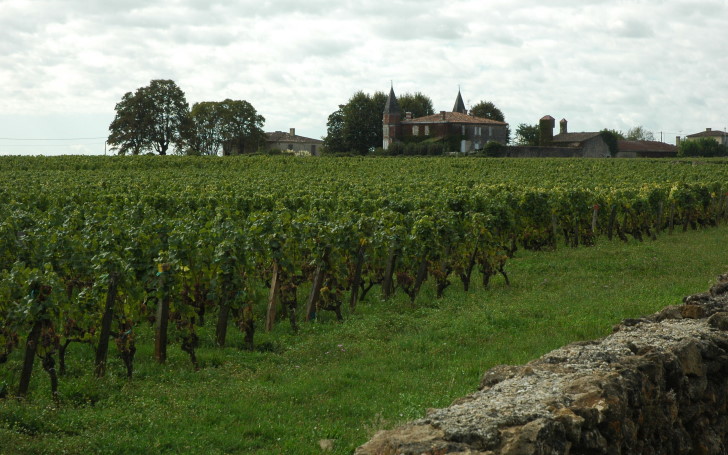 Barsac - Vignes et muret en "pierre de Barsac" -   Photo Michel CRIVELLARO