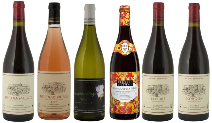 Bouteiles de Beaujolais : Domaine Daniel Rampon  à Villié Morgon et Domaine Georges Duboeuf à Romanèche-Thorins