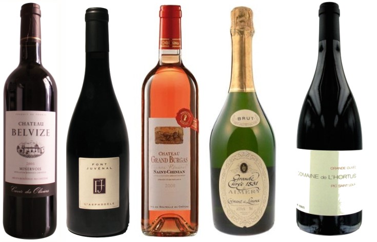 Bouteilles de vins du Languedoc :  A.O.C Minervois, A.O.C  Cabardès, A.O.C Saint-Chinian, A.O.C Crémant de Limoux, A.O.C Languedoc Pic-Saint-Loup.