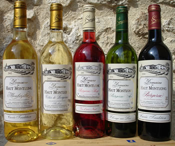 Domaine du Haut Montlong - M. Alain Sergenton - Haut Montlong - 24240 Pomport