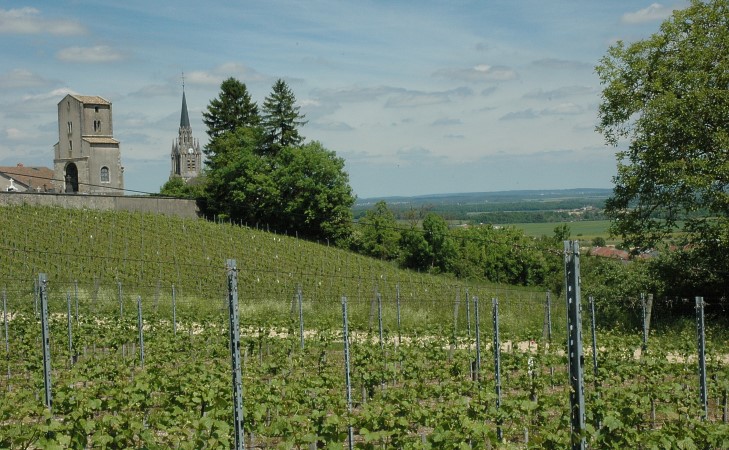 Bruley - Les vignes sous la Chapelle Saint-Martin -  © M.CRIVELLARO