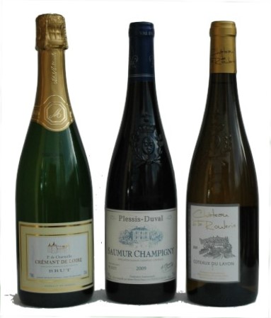 Principaux types de bouteilles en région Anjou- Saumur : Champenoise pour les vins effervescents - Saumur et Anjou avec écusson pour les autres vins - Photo Michel CRIVELLARO