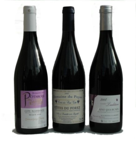 Bouteille de type Bourgogne - Photo Michel CRIVELLARO