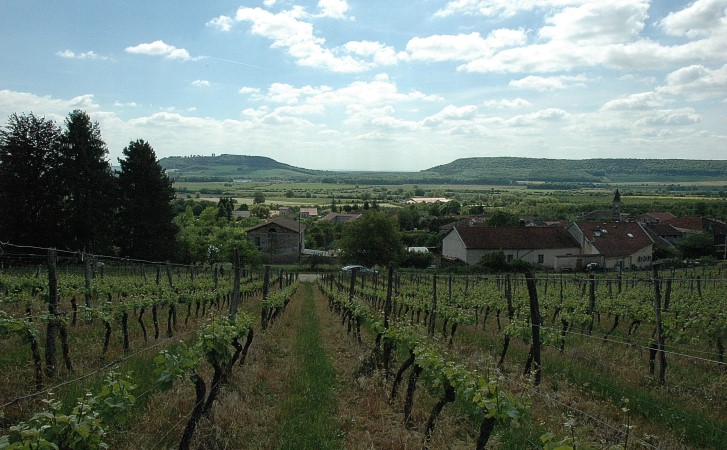 Buxerulles - Le vignoble, le village, au loin la butte témoin de Montsec et la Côte de Meuse - © M.CRIVELLARO