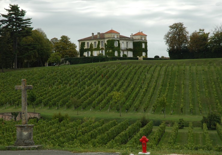 Cars - Vignobles du Château Pardaillan - Photo Michel CRIVELLARO