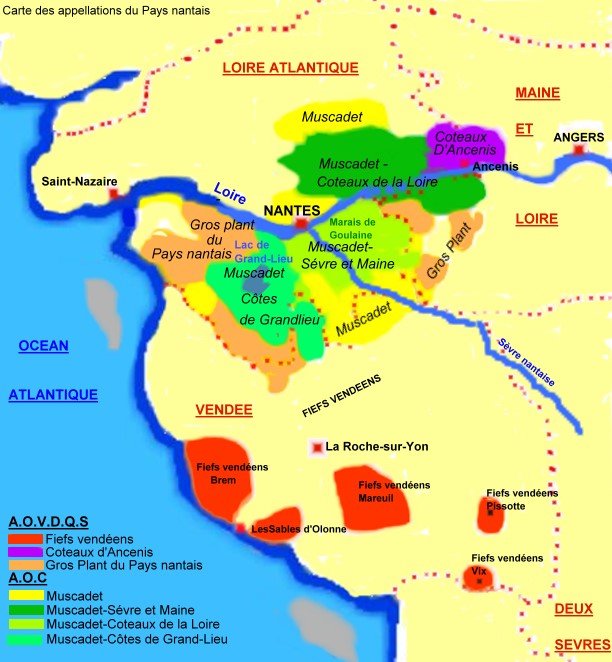 Carte des rgions viticoles du Pays nantais et de Vendée - Michel CRIVELLARO