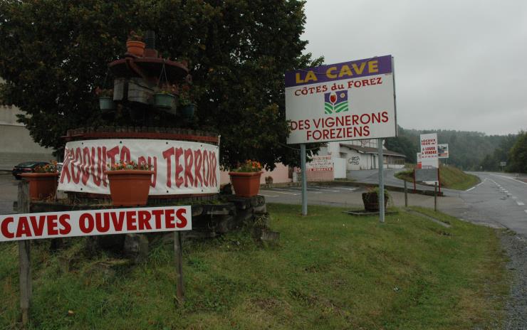Caves des vignerons  Foreziens - Photo Michel CRIVELLARO