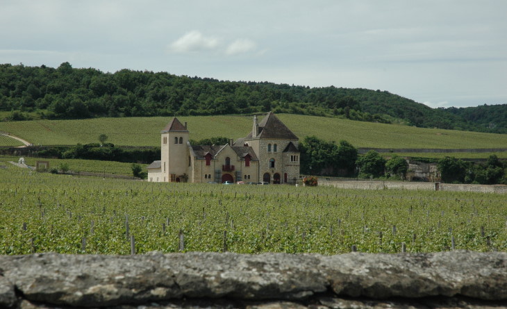 Chambolle-Musigny -  Le Grand Cru "Musigny" se trouve derrière Château de La Tour  - © M.CRIVELLARO