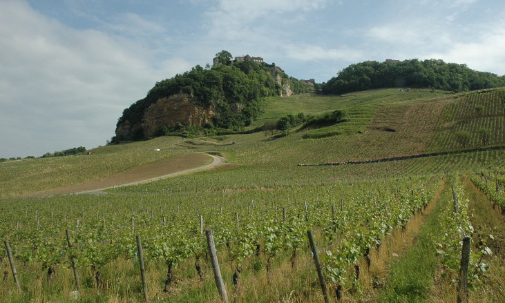Château-Chalon - Le village de Château-Chalon perché sur son promontoire calcaire surplombe le vignoble.  © M.CRIVELLARO
