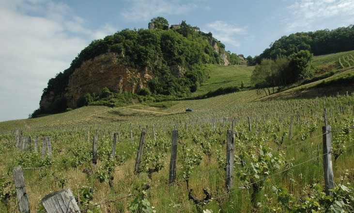 Château-Chalon - Vignoble sur les versants pentus qui bordent le village de Château-Chalon.  © M.CRIVELLARO