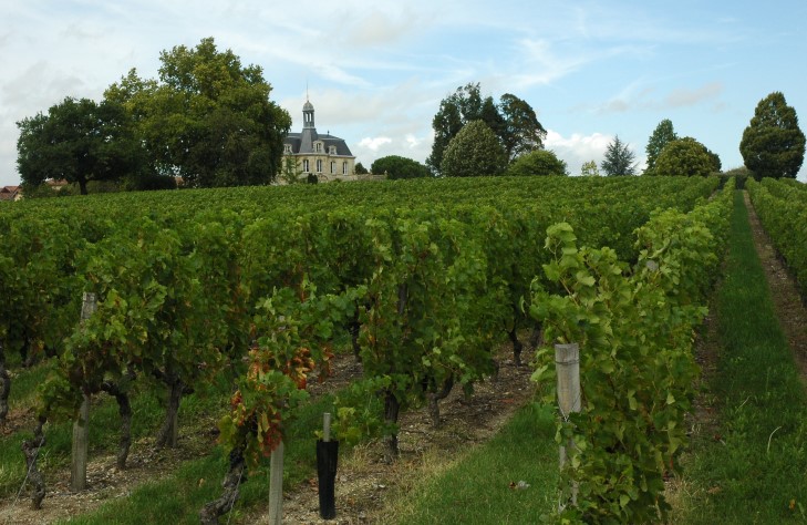 Château Fonréaud - Listrac - Photo Michel CRIVELLARO