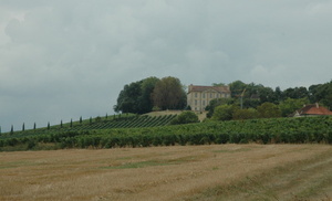 Château Viella. Le domaine situé sur la commune de Viella produit des vins en AOC Madiran et Pacherenc du Vic Bilh. © Marion CRIVELLARO