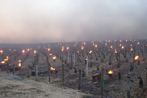 Chaufferettes - Photo Domaine Billaud-Simon  