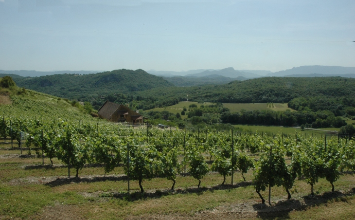Cheigneu-la-Balme - Le vignoble de Bugey "Manicle" est perché à 300 m d'altitude - © M.CRIVELLARO