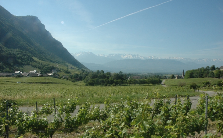 Chignin - Vue générale du vignoble AOC Chignin et Chignin Bergeron en direction du massif de Belledonne  © M.CRIVELLARO