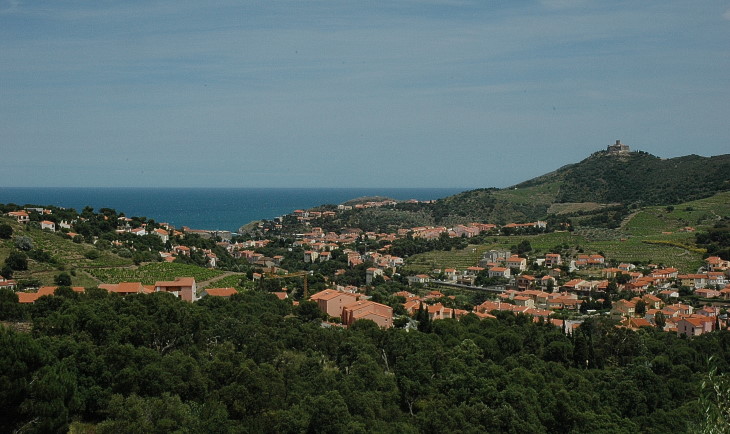 Collioure : village, mer Méditerranée et vignoble -  © M.CRIVELLARO