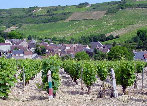 Vignoble de Cosne-sur-Loire - Photos de L'ORÉE DES VIGNES - Chambres et table d'hôtes de charme - Marie-Noëlle Kandin -Tel : 33 (0)3 86 28 12 50