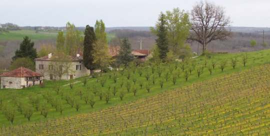 Domaine de Lafage - 82270 Montpezat de Quercy 