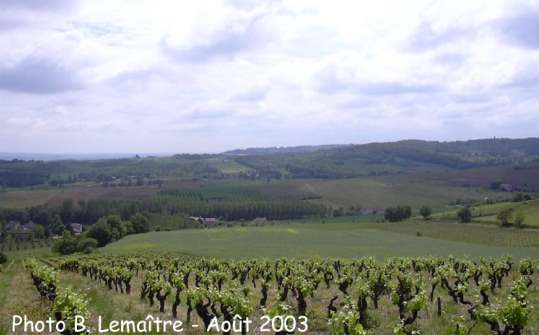 Photo extraite de: B Lemaître - http://pagesperso-orange.fr/upnet/inventairespaysages.htm - 