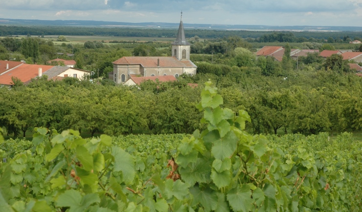 Côtes de Meuse - Billy-sous-les-Côtes - Photo Michel CRIVELLARO