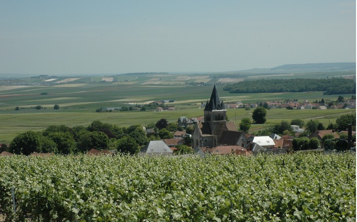 Depuis la Chapelle Saint-Lié - Vue panoramique sur Ville-Dommange, le vignoble, la plaine et la Montagne nord - © M.CRIVELLARO