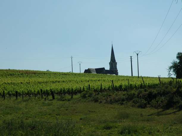 Eglise de Drain - Vignobles du Muscadet Côteaux de la Loire et des Coteaux d'Ancenis - Photo: Michel CRIVELLARO 