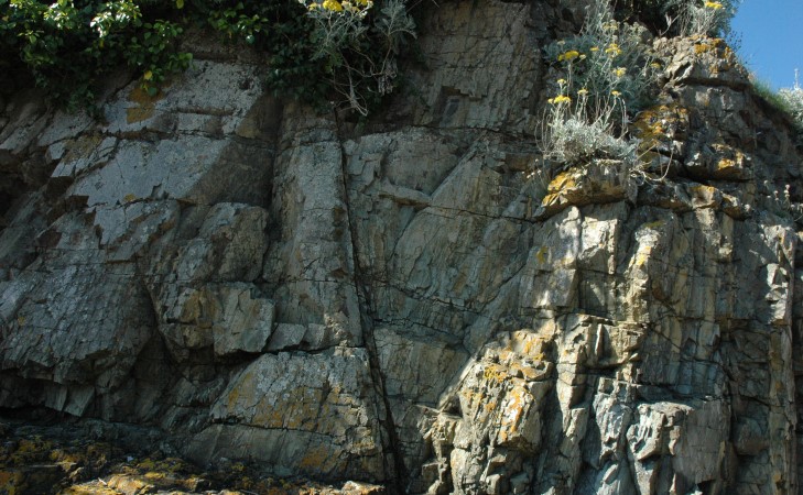 Erquy - Pointe de la Heussaye - Roches sédimentaires métamorphisées et redressées à la verticale par la tectonique, il y a 600 Ma. © M.CRIVELL...