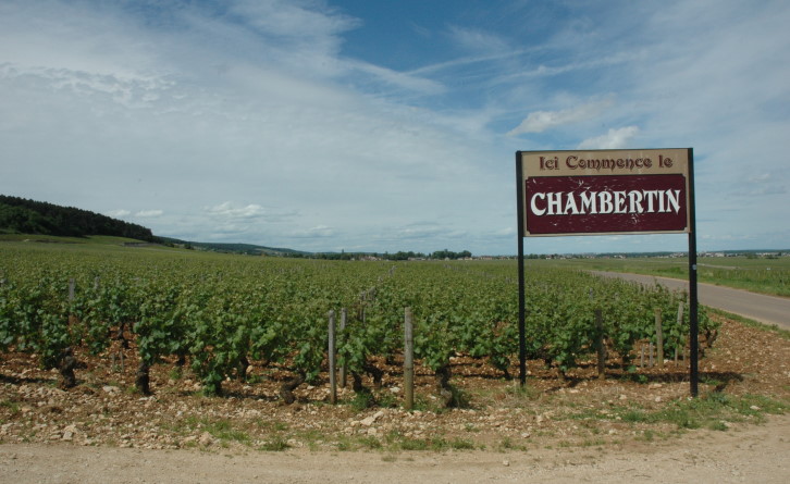 Gevrey-Chambertin - Route des Grands Crus - © M.CRIVELLARO
