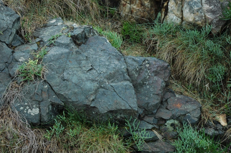 Gneiss couleur bleutée . Ploumanac'h - Photo Michel CRIVELLARO Gneiss couleur bleutée . Ploumanac'h - Photo Michel CRIVELLARO