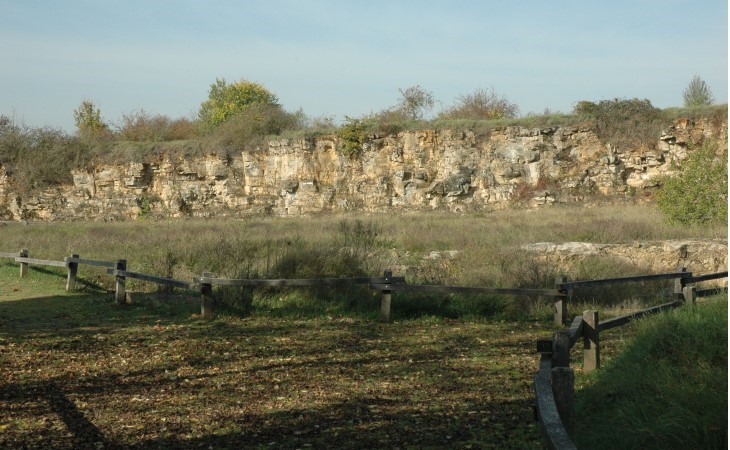 Hettange-Grande -  Carrière de Gries - Les grès d’Hettange arment le relief du front de côte qui structure la « Côte infraliasique » -  © M...