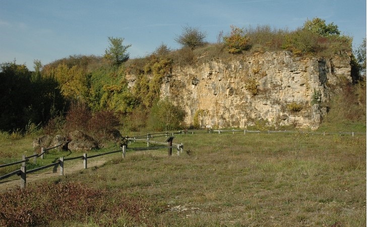  Hettange-Grande. Site géologique. La carrière de Gries -  © M.CRIVELLARO