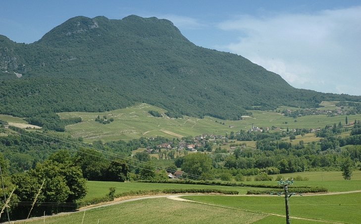 Jongieux - Monthoux - Vue générale du vignoble sur les flancs de la Montagne de la Charvaz  - © M.CRIVELLARO