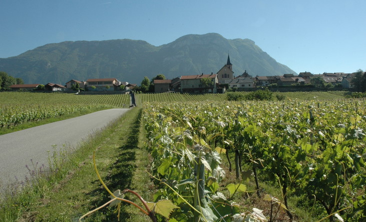 Les Marches - Chemin du Cincaillé à l'entrée du Domaine du Château de la Violette. Le village, les vignes et le massif des Bauges. © M.CRIVELLARO