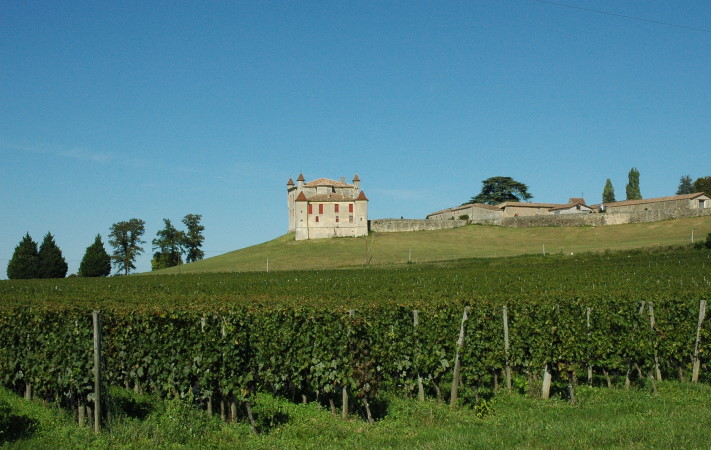 Libournais - VIgnobles de Monbadon - Photo Michel CRIVELLARO