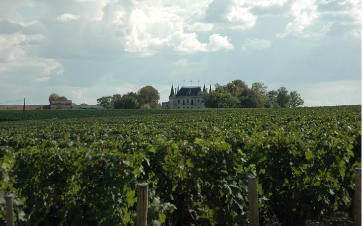 Margaux - Le vignoble de Château Margaux - Au loin, en haut de la croupe on aperçoit Château Palmer -  © M.CRIVELLARO