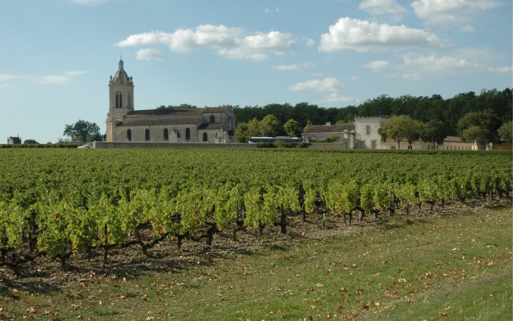  Margaux - Le vignoble de Château Margaux monte sur la croupe du château vers l'église de 8 à 15 m d'altitude -  © M.CRIVELLARO