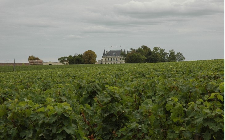 Margaux - Vue de Château Palmer depuis le Château Rauzan-Sègla -  © M.CRIVELLARO