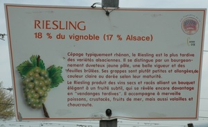 Marlenheim - Balisage sentier viticole - © M.CRIVELLARO