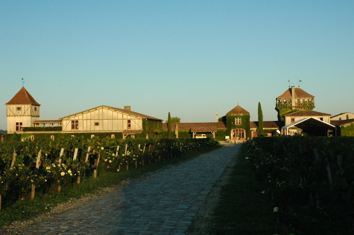 Martillac - Château Smith Haut-Lafitte - Photo Michel CRIVELLARO