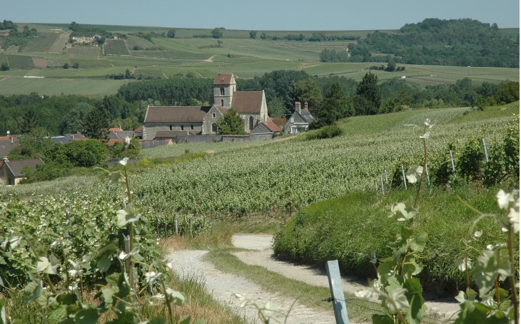 Massif de Saint-Thierry - Église de Prouilly au pied des vignes - © M.CRIVELLARO Massif de Saint-Thierry - Église de Prouilly au pied des vignes - © M.CRIVELLARO